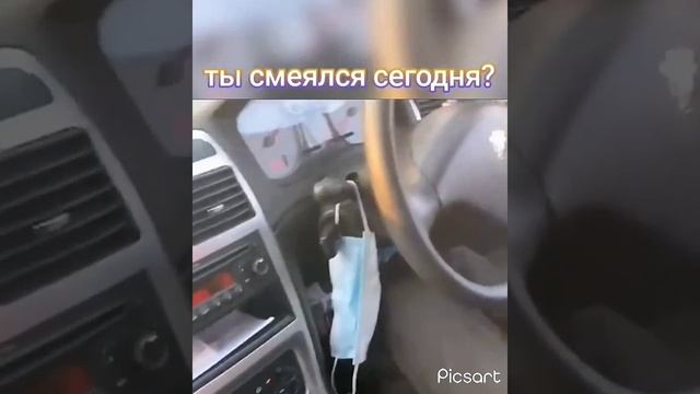 Не много юмора ???  #юмор #приколы #смех