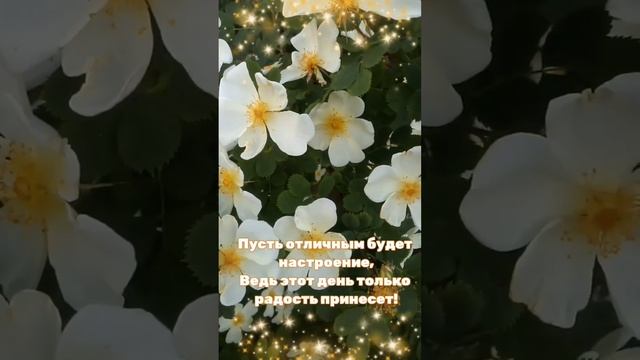 Лапчатка