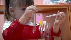 STEM-образование детей дошкольного и младшего школьного возраста