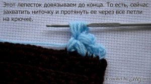 ♦ Цветочная кайма из пышных столбиков • Обвязка края крючком • ellej