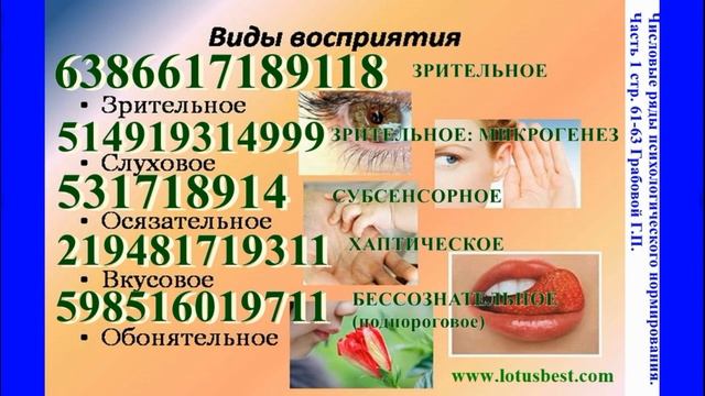 Восприятие. Виды восприятия.