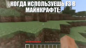 где я кажется я в мире майнкрафта
