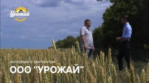 Урожай: облигации с доходностью 23,9% годовых