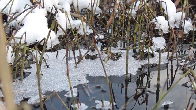 Рыбалка. Ловля Щуки На Кружки(Жерлицы,Подставушки) Самая Уловистая Снасть на Хищника. смотреть онлайн