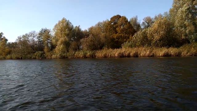 р. Матросовка. Отчёты смотреть онлайн