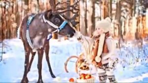 Лесной олень - Людмила Сенчина