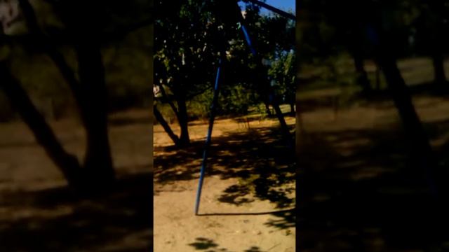 #гуляем#Вика#поёт#стиль#собачки смотреть онлайн