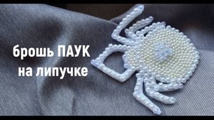 брошь ПАУК на ленте-липучке