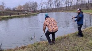 Ловим форель на Форелевом озере в Семидесятном,Воронежская область.