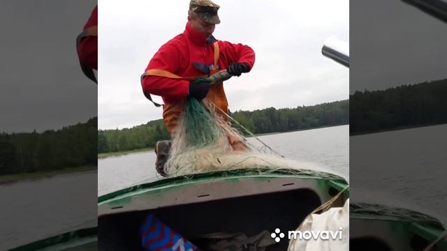 Проверяем сети, обкатываем новые спиннинги, рыбы полно🐟 смотреть онлайн