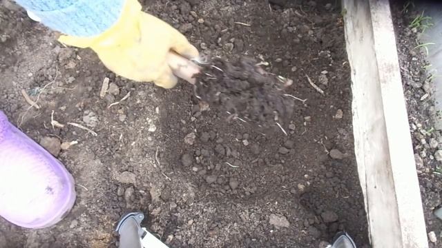 ЧТО ДОБАВИТЬ В ЛУНКУ ВЕСНОЙ? ЭКО - ВАРИАНТ. Ольга Чернова. смотреть онлайн