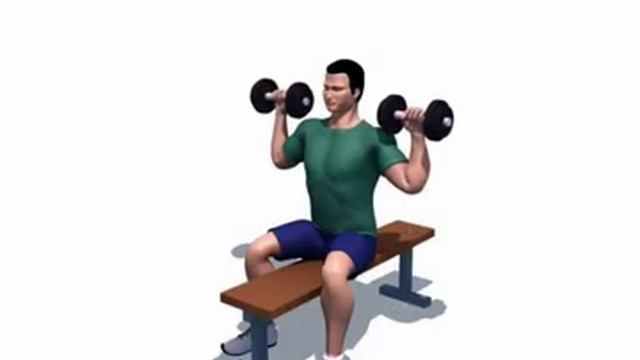 Вертикальный жим гантелей сидя смотреть онлайн