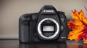 Canon 5D Mark II vs Canon 7D: Which Camera Is Better? (With Ratings & Sample Footage)