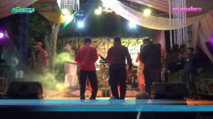 CAMELIA - DITA PUSPITA | NEW FAREZZA LIVE GUNUNGKELING