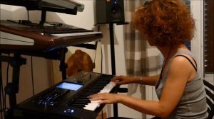 Performance Korg Kronos 61