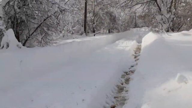 Снежный апокалипсис. смотреть онлайн