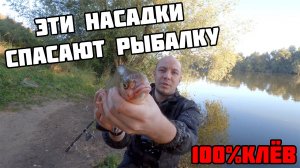 Лучшие насадки на донки летом! КТО ПОБЕДИТ? / Рыбалка на донки летом на реке ТЕСТ НАСАДОК И НАЖИВОК