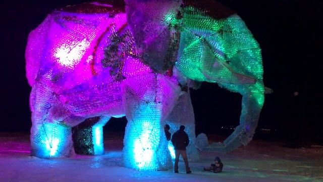 Слон из бутылок в Архангельске