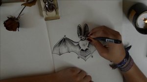 Bat Tattoo Sketch (speed drawing)