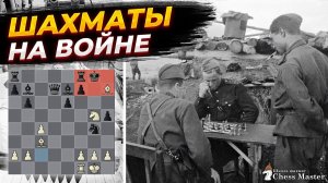 Как шахматы помогли выиграть войну