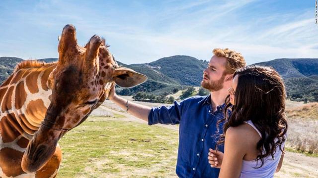 Harry & Meghan Cinema: Lifetimes A King Novel Turns Harry And Meghan Markle In Translucent Valentin смотреть онлайн