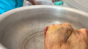 Свиная голова под прессом! Рецепт из книги, "Кухня СССР".