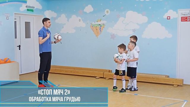 Двигательная активность как средство формирования двигательных навыков владения мячом