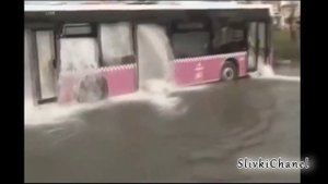 Ютуб видео: Как моют автобусы