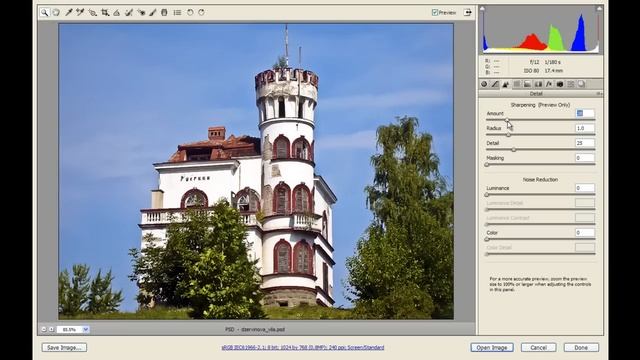 Open PSD in Camera RAW in Photoshop CS5 смотреть онлайн