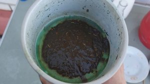 Первое золото!!! Аффинаж корпусов часов. Осаждение золота гидразин гидратом.