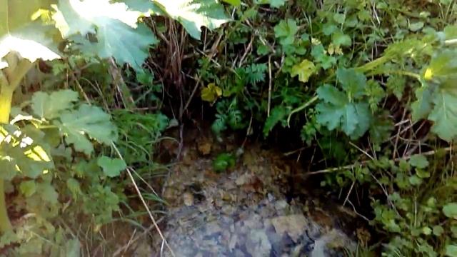 Бьёт родник из под камней,вподает в речку..