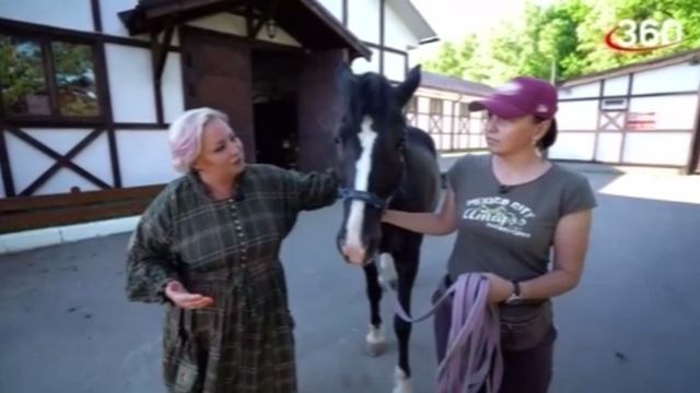 Русская Шотландия в 100 км. от Москвы