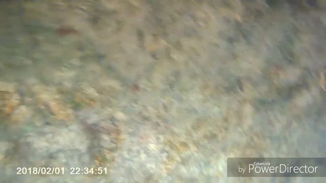 Контактный зоопарк (часть 2) смотреть онлайн