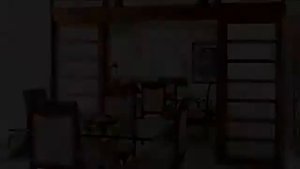 Раздвижные межкомнатные двери