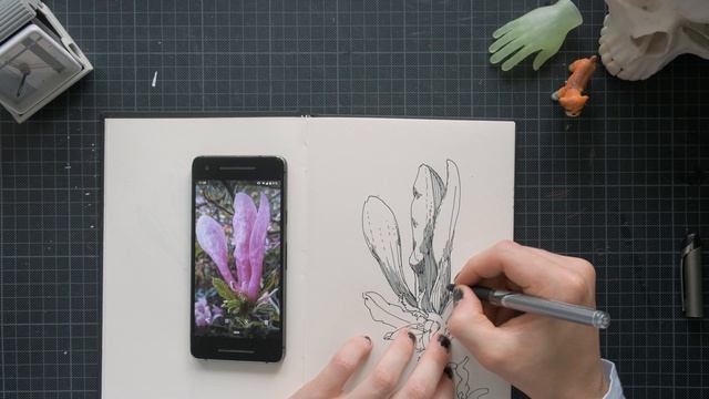 Drawing a Magnolia Flower _ SKETCHBOOK EP 02 смотреть онлайн