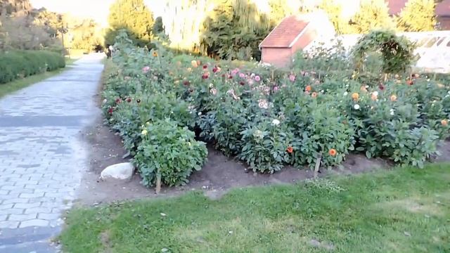 Я Поделюсь с Друзьями Миром! смотреть онлайн