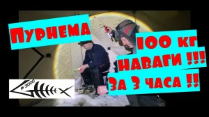 РЫБАЛКА В ПУРНЕМЕ НА БЕЛОМ МОРЕ #НАВАГА  устье реки Вейга  #Рыболов_Севера