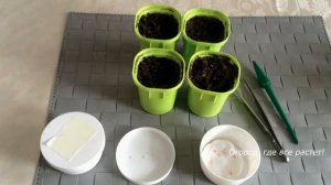 Рассада баклажанов . Сеем по всем правилам.mp4