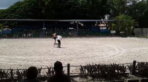 "Manati Park" Dominican Republic Шоу с лошадьми. Show with horses.