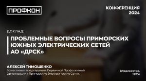 Проблемные  вопросы Приморских Южных Электрических Сетей АО «ДРСК»