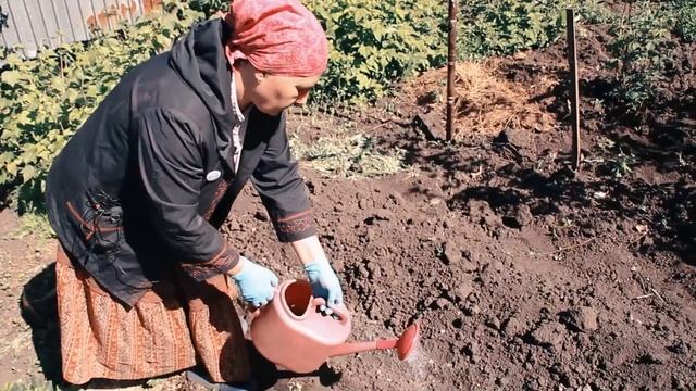 САД и ОГОРОД для детей | Рассказываем о семени и земле смотреть онлайн