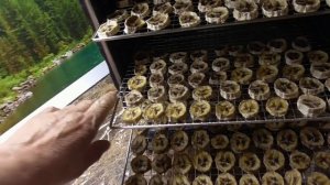 Вяленые бананы в дегидраторе - отличная замена конфет! Попробуйте, не пожалеете!