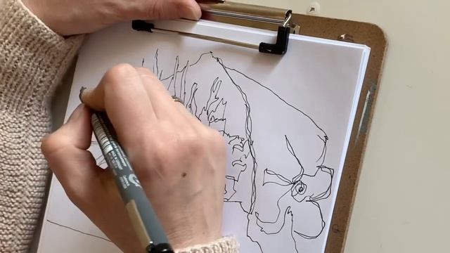 Рисуй как Сальвадор Дали: метаморфозы |  Как понять сюрреалистов? | Онлайн обучение