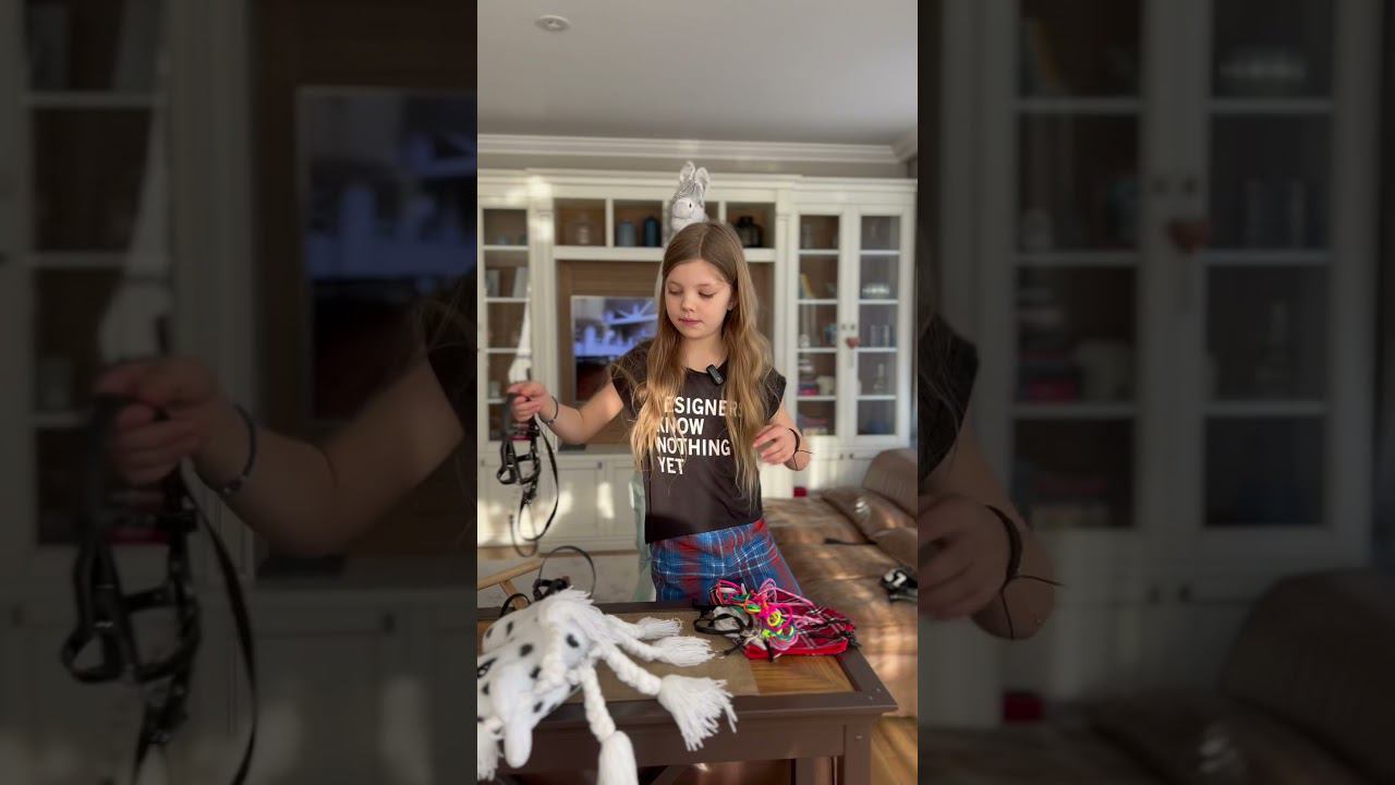 Обзор Хоббихорсов Ники смотреть онлайн