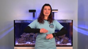 DEEP Clean Your Aquarium - Hilary's New Red Sea Reefer