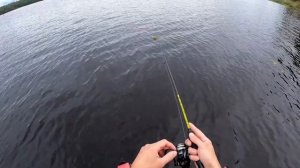 Рыбалка на Неве 2022.Спиннинг maximus ichiro.Ультралайт.Окунь в сентябре#рыбалка #ультралайт#окунь