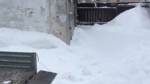 Снегоход Polaris заезжаем на прицеп