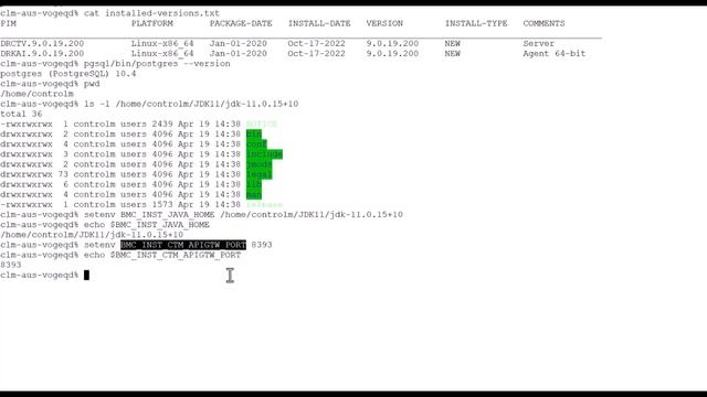 CWCM: Upgrading to Control-M 9.0.21 смотреть онлайн