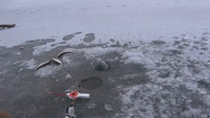 11. Купил Старый Дом у Реки. Окно. Рыбалка первый лёд