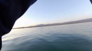 Судак найден, от Raymarine Element ему не спрятаться.